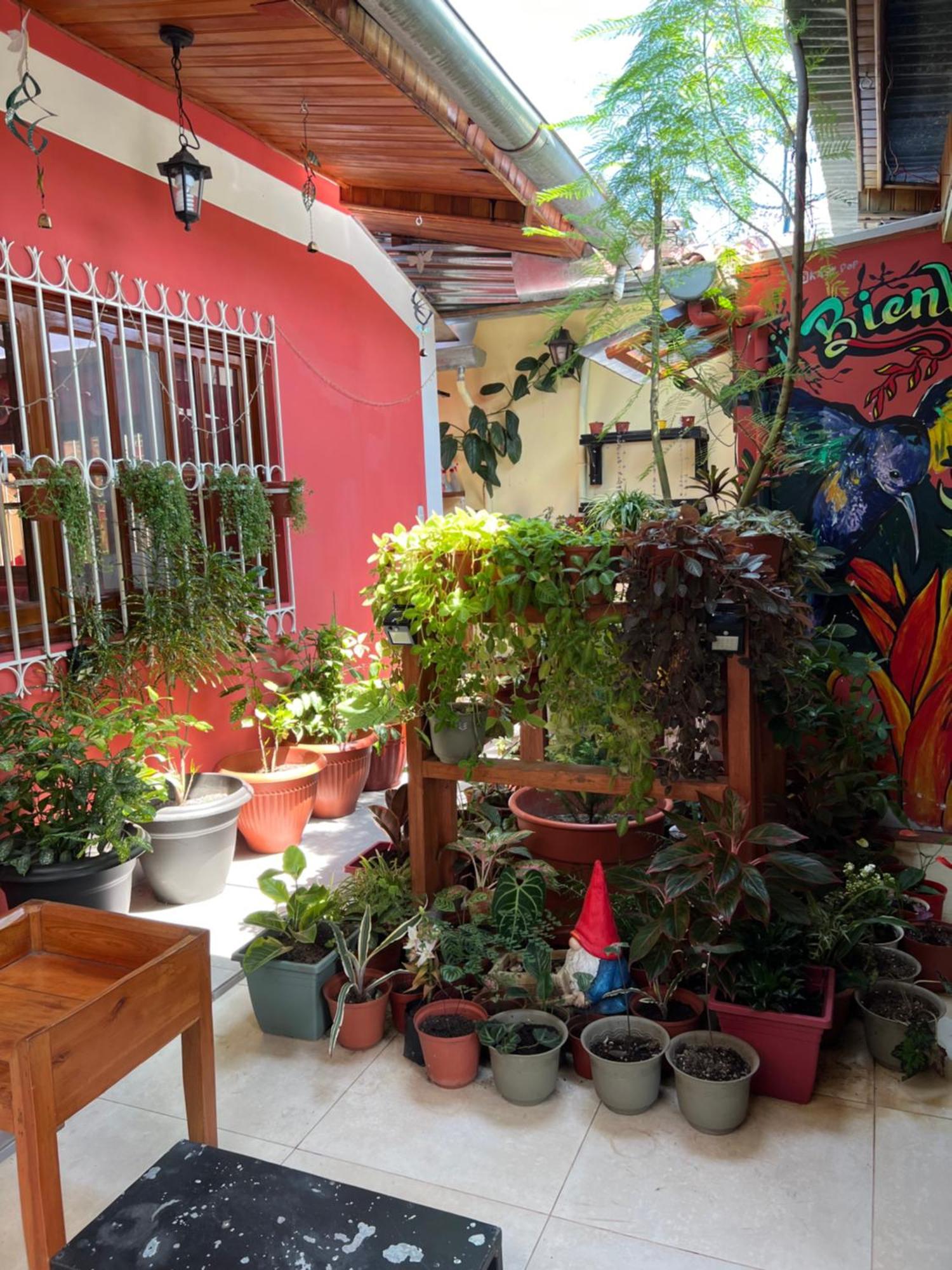 Casa Micaela Apartment Iquitos Bagian luar foto