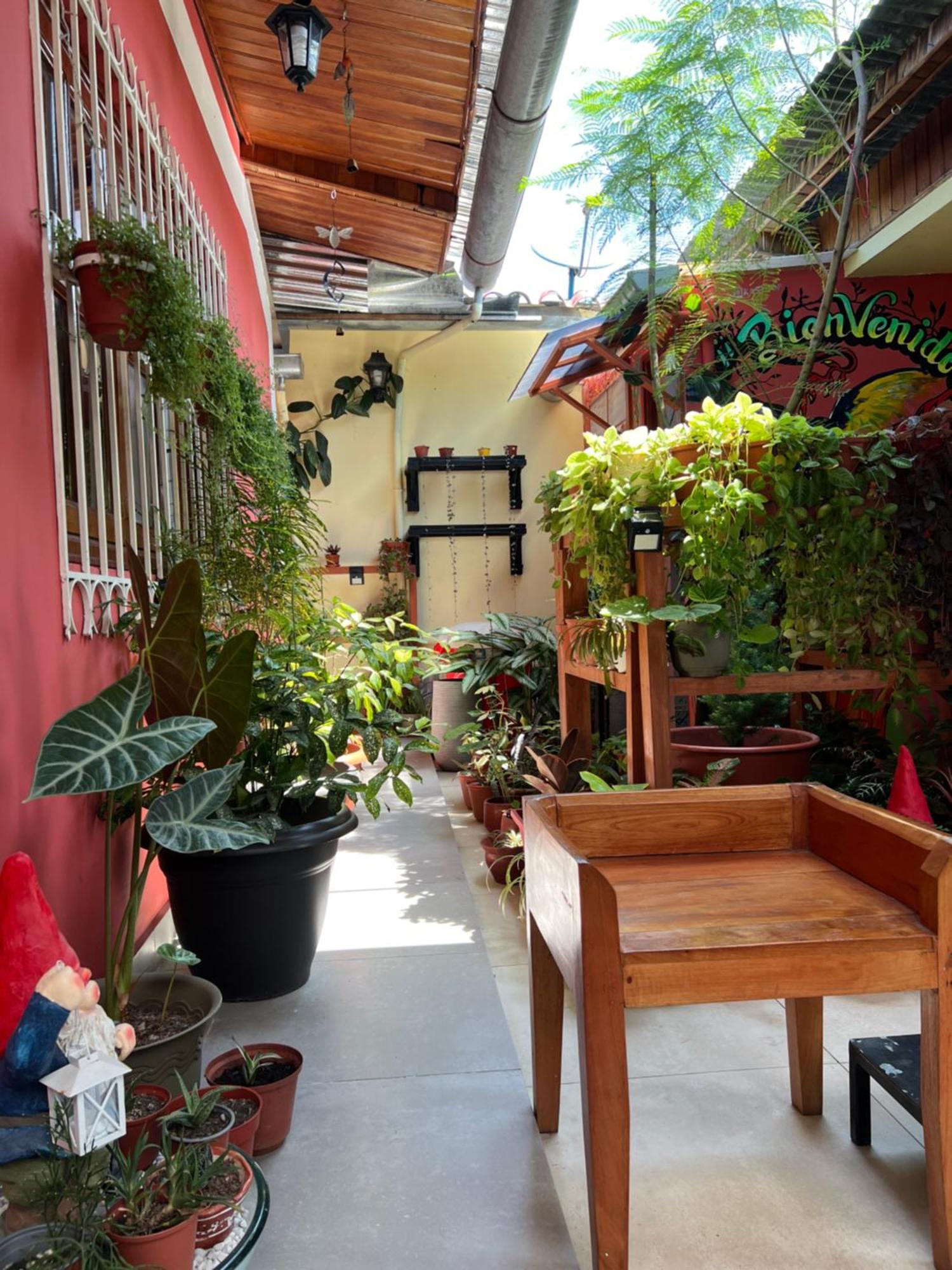 Casa Micaela Apartment Iquitos Bagian luar foto